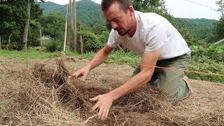 Cover Your Survival Garden With Hay And This Will Happen