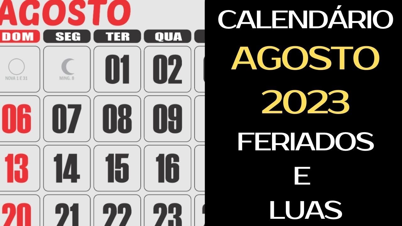 Calendário de novembro de 2022 com feriados nacionais fases da lua