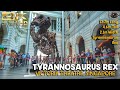 [4K] Tyrannosaurus Rex &quot;Fossils&quot; : Singapore Walk