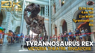 [4K] Tyrannosaurus Rex &quot;Fossils&quot; : Singapore Walk