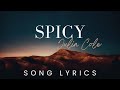 Julia Cole Spicy SONG LYRICS VERSION Julia Cole Spicy SONG LYRICS VERSION