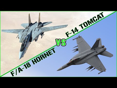 F-14 Tomcat vs F/A-18 Hornet | Top Gun Special