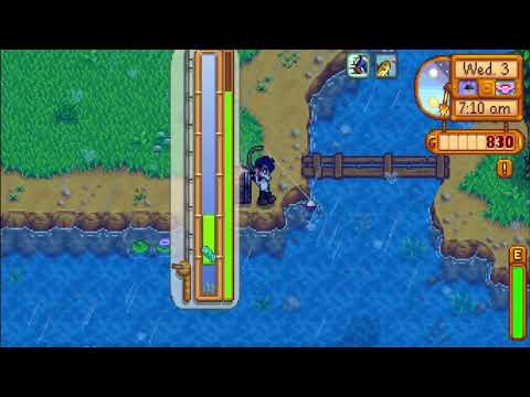 Stardew Valley Forest