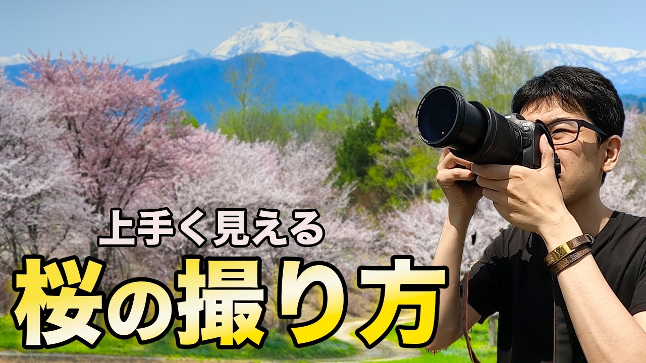 上手く見える桜の撮り方!【解説】【写真家】