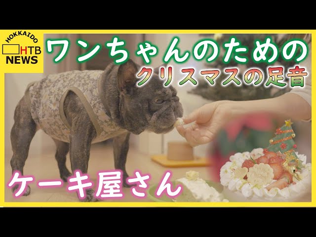 クリスマスの足音 ～ワンちゃんのためのケーキ屋さん～ moconoadólce