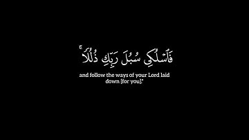 كروما شاشة سوداء | ما تيسر من سورة النَّحل | القارئ : أحمد النَّفيس