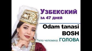 видео: Части тела. Голова. Узбекский язык за 47 дней. картинка: Части тела. Голова. Узбекский язык за 47 дней.