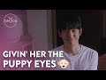 Who could resist those puppy eyes  one spring night ep 16 eng sub