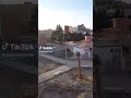 سيمو العيساوي سيمو العيساوي