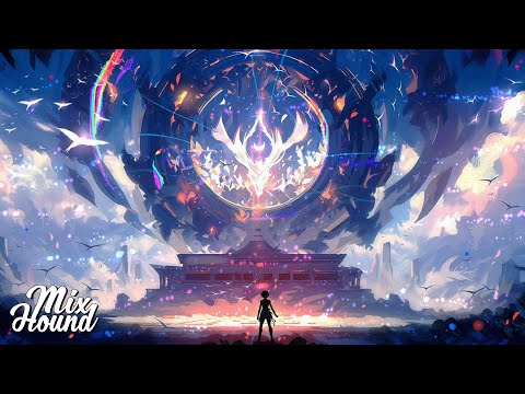 Lofland Videos: A Journey Into The Unknown