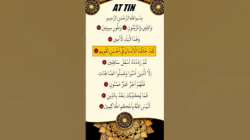 ماهر المعيقلي سورة التين 