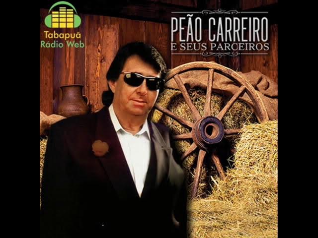 Peão Carreiro e Zé Paulo Mix - playlist by Spotify