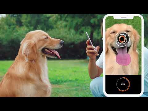 Introducing Petnow-The Nose Print Identification App for Dogs