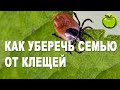 Самая эффективная обработка от клещей - холодный туман. Знаете, что такое  дефендер?