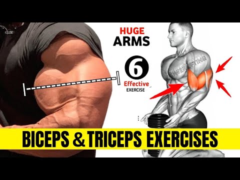 Effective Biceps and Triceps Exercises for Bigger Arms At GYM