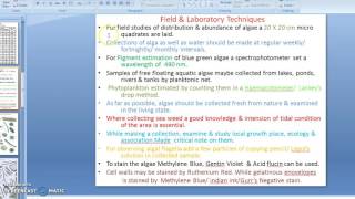 Scientific Identification of Algae