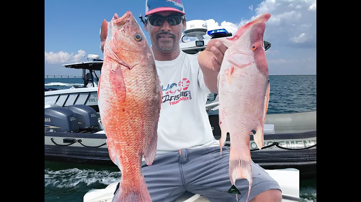 Crazy HOGFISH and Snapper bite- STOPPED BY FWC- Tampa Bay Offshore Fishing