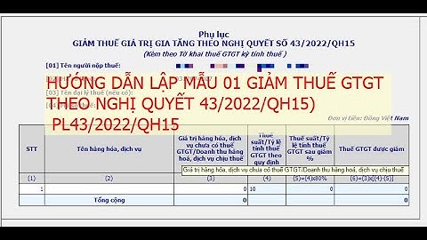 HƯỚNG DẪN LẬP PHỤ LỤC 43/2022/QH15 GIẢM THUẾ GTGT
