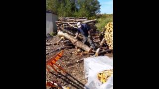 Home Built Firewood Processor