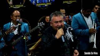 Cansados De Amarnos En Vivo - Darío Dario