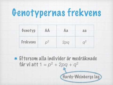 Video: Vad representerar Hardy Weinbergs ekvation?