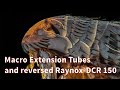 Macro Extension Tubes and reversed Raynox-DCR 150