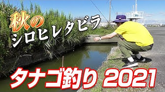 タナゴ釣り Youtube