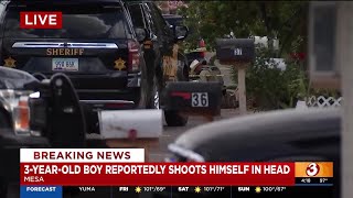 Toddler fighting for life after shooting himself in the head near Mesa