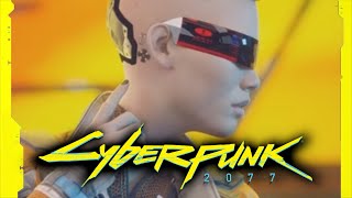 Cyberpunk 2077 Fall of the Net