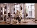 Clumsy Cat Dian at the Gym(ジム)