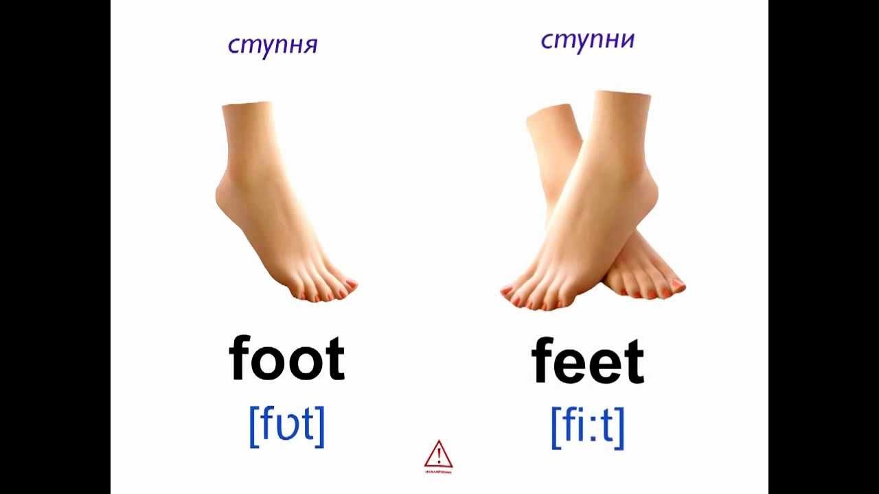 Foot tongue. Нога карточка для детей. Ступня на английском. Нога по английскому. Foot транскрипция.