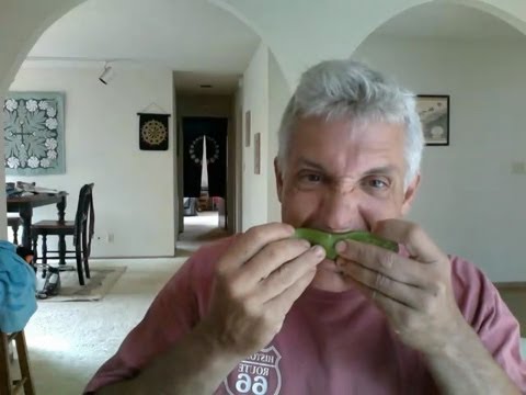 Eating Aloe Vera Is Amazing For Your Skin Youtube