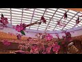 Spring decoration in MGM casino 👌👌Virginia - YouTube