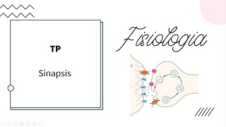 Neurofisiología  Sinapsis  UBA  MEDICINA