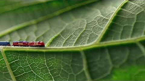OpenAI Sora Video with Sound Effects - macro shot of a leaf showing tiny trains