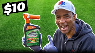 Weed Killer  the BEST under $10 that's perfect for BEGINNERS