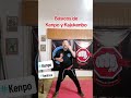 Bsicos en el kajukenbo y artes marciales