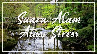 Relaxing Nature Music - Relaxing Relaxing Music - Anxiety Hypnotherapy