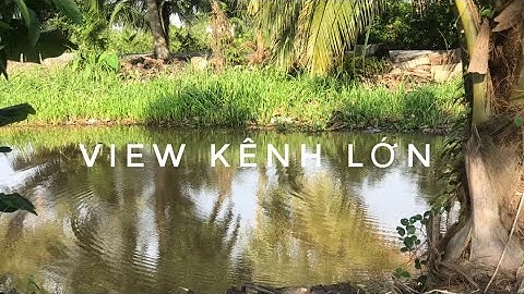 VIDEO 6: BÁN 1000 M2 ĐẤT VƯỜN NGANG 16M, ĐƯỜNG Ô TÔ, SAU ỦY BAN XÃ BÌNH ĐỨC. LIÊN HỆ: 0899212378