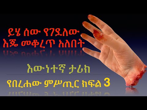 ቪዲዮ: ሚስተር አፈጉባኤ - 3 ዲ የታተመ DSP ተንቀሳቃሽ ድምጽ ማጉያ - 9 ደረጃዎች (ከስዕሎች ጋር) ቪዲዮ: ሚስተር አፈጉባኤ - 3 ዲ የታተመ DSP ተንቀሳቃሽ ድምጽ ማጉያ - 9 ደረጃዎች (ከስዕሎች ጋር)