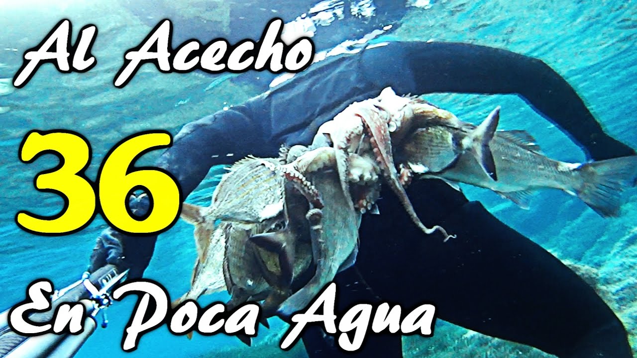 spearfishing world Pesca Submarina, Al ACECHO XXII