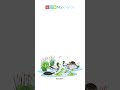 Ecosystem Components and Levels