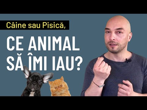 Video: Cum Se Alege Un Magazin Pentru Animale De Companie