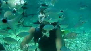 Feeding fishes during the scuba diving in Turkey.