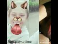 69 動画写真1b