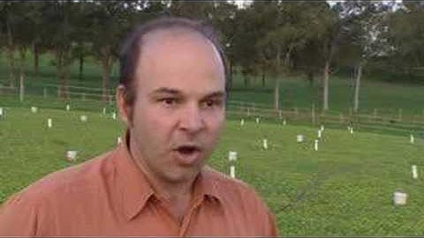 Biochar - agrichar - Terra Preta