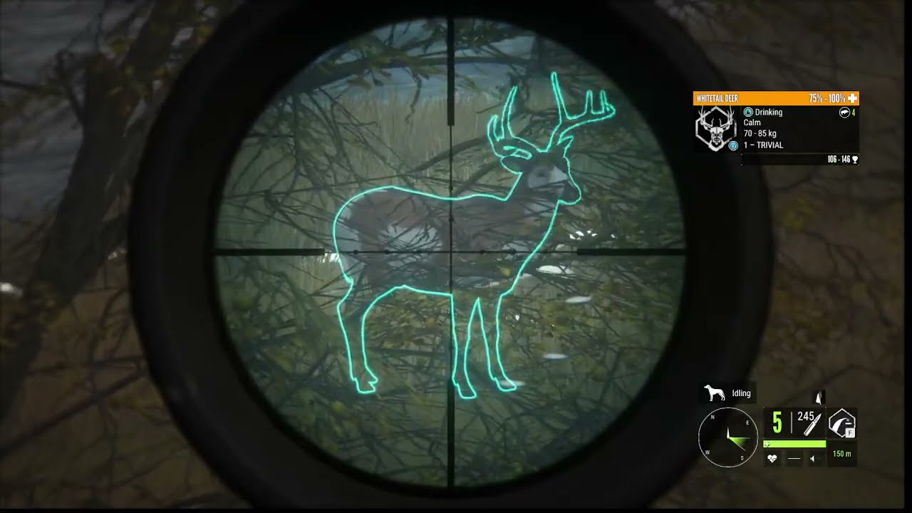 COTW RARE Whitetail Deer cotw YouTube COTW RARE Whitetail Deer cotw YouTube