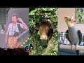 Funny TikToks To Brighten Up Your Day | TikTok Compilation