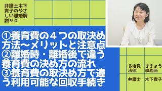 離婚時・離婚後の養育費の取決め方法。離婚調停で養育費を決めるメリット、デメリット。公正証書で養育費を決めるメリット、デメリット。養育費の各取決め方法の割合は？〜弁護士木下貴子のやさしい離婚解説90