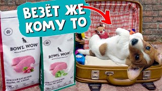 Не покупайте сухой корм для своего щенка, пока не попробуете этот. ЛУЧШИЙ суперпремиум корм BOWL WOW